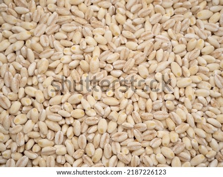 barley milled for barley rice Royalty-Free Stock Photo #2187226123