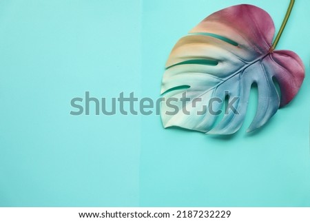 Colorful  Pastel colored Exotic Jungle like leaf. On a bright teal background. Open space for text.