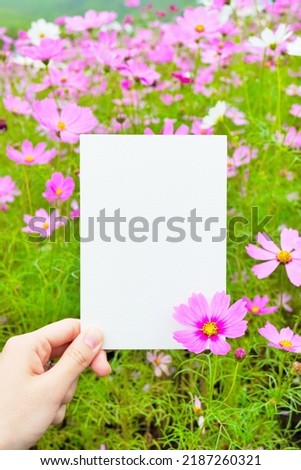 Cute comment space mockup with cosmos flowers against the backdrop of a peach blossom field, vertical