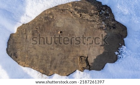 An ancient primitive rock painting is visible on a flat stone: animals, hunting scenes. There is snow all around. View from above. Altai. Kalbak Tash