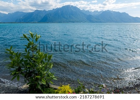 Lake Geneva near Montreux. breathtaking view