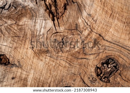 Texture of a wooden log with some cracks on the surface