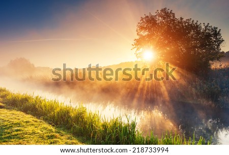 Fantastic foggy river with fresh green grass in the sunlight. Sun beams through tree. Dramatic colorful scenery. Seret river, Ternopil. Ukraine, Europe. Beauty world. Royalty-Free Stock Photo #218733994
