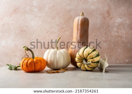 Autumn pumpkin set holiday concept copy space