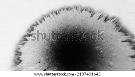 Black paint drop on white paper. Splatter overlay. Ripped border texture. Wet ink blot on uneven abstract background with defocused motion blur. Royalty-Free Stock Photo #2187401645