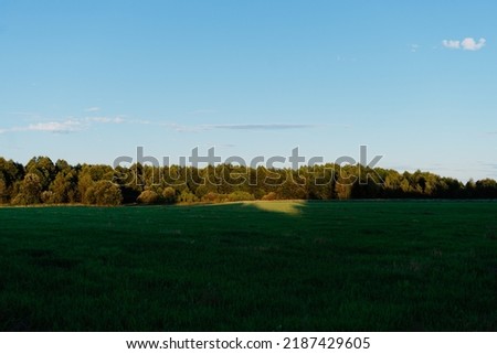 beautiful view on grassland in summer