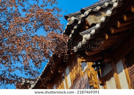 portrait of korean traditional roof house
