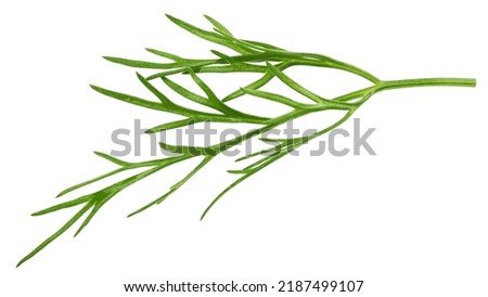 Dill isolated on white background, full depth of field, clipping path Royalty-Free Stock Photo #2187499107