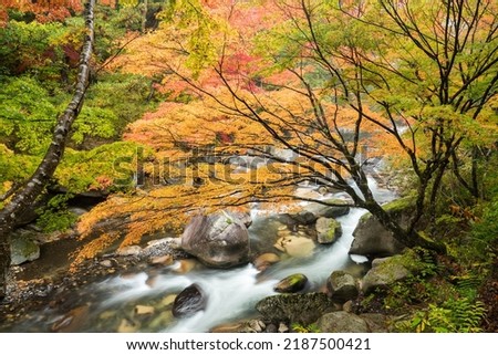 Forest stream in autumn season, Shosenkyo, Kofu, Yamanashi Prefecture, Japan Royalty-Free Stock Photo #2187500421