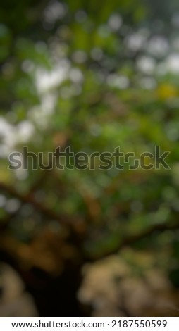 abstract blur of green leaf on park  background for design