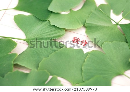Ginkgo biloba leaves cover the autumn equinox Chinese characters printed on paper.The Chinese characters in the picture mean: "the Autumn Equinox"