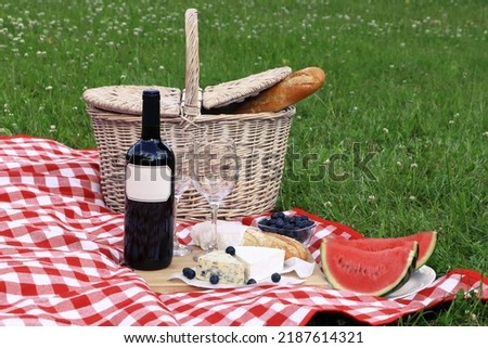 Picnic blanket with delicious food and wine outdoors on summer day