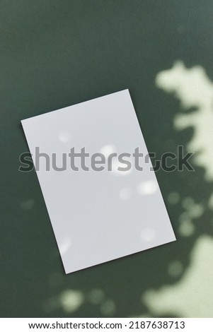 Blank paper sheet card mockup and sunlight shadow top view on green  background . Copy space. Flat lay   minimal business brand template neutral color. Card mock up.