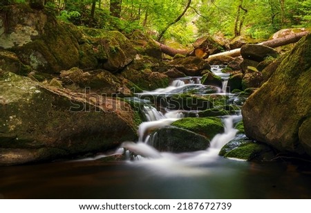 A beautiful stream in the forest. Forest cold creek flowing. River waterfall on mossy rocks. Forest stream of water Royalty-Free Stock Photo #2187672739