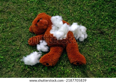 destroyed stuffed teddy bear lying on the floor outdoors Royalty-Free Stock Photo #2187705839