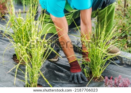 Closeup of Gardener Planting Flower Plants in Soil Protected with Agrotextile Weed Control Membrane. Professional Landscape Design Theme. Royalty-Free Stock Photo #2187706023