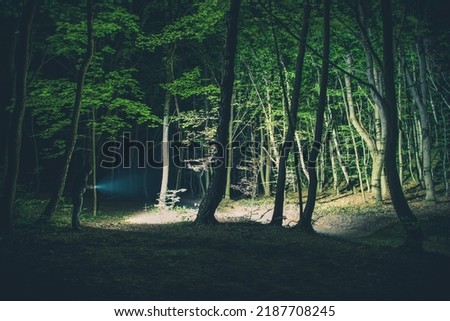 Man with Turned On Flashlight in His Hands Standing in the Middle of the Dark Forest Exploring the Nature During His Night Walk. Beautifully Lightened Wooden Landscape.