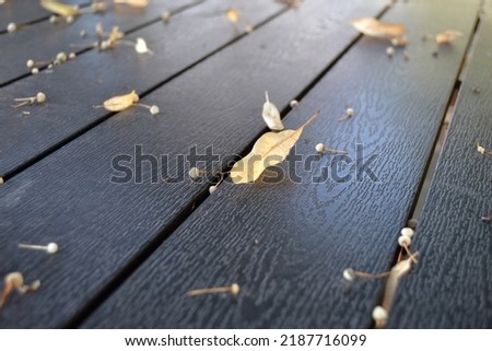  Selective focus of Leaves with linden fruits on a dark wooden table. Royalty-Free Stock Photo #2187716099