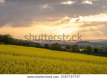 Landscape at sunset in Germany