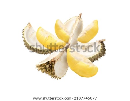 Durian pulp levitate isolated on white background.  Royalty-Free Stock Photo #2187745077