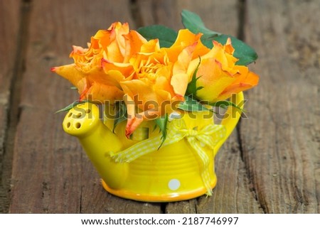 orange roses in a vase - wooden background