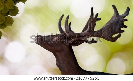 Deer eating, reaching for leaves green white  blurred bokeh