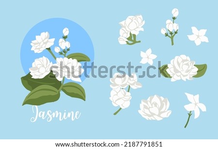 white jasmine object on blue background Royalty-Free Stock Photo #2187791851