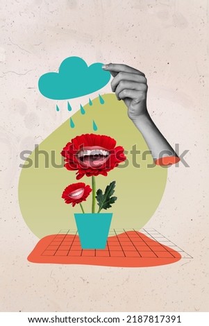 Image magazine collage of laughing flowers daisy enjoying rainstorm rain falling isolated paint background
