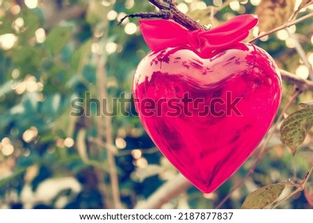 Red heart hanging on tree in sunset.