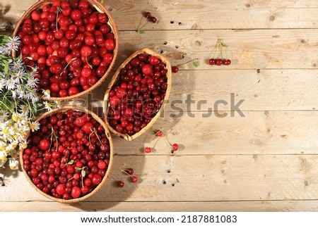 Summer cherry berries in baskets on a wooden background with daisies,wild flowers, harvesting in the village, the concept of healthy natural food, breakfast with ingredients, shop advertising, 