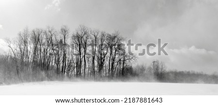 Blowing snow in a winter landscape background scenic