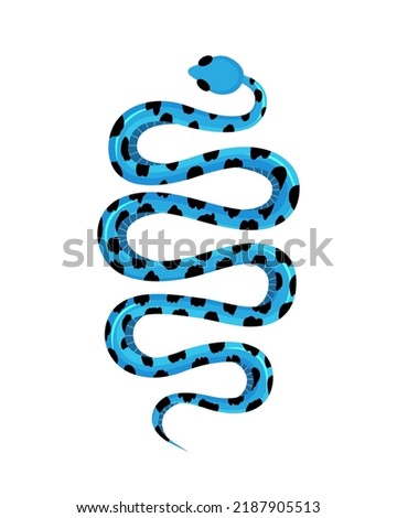 Banded Sea Krait. Blue snake. Tropical toxic reptile. Dangerous exotic rattlesnake. Hand drawn vector illustration.