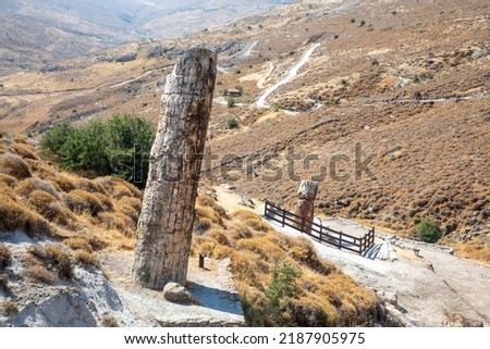 A fossilized tree trunk from the UNESCO Geopark "Petrified Forest of Sigri" on the island of Lesvos in Greece. Greece Lesbos fossil forest Royalty-Free Stock Photo #2187905975