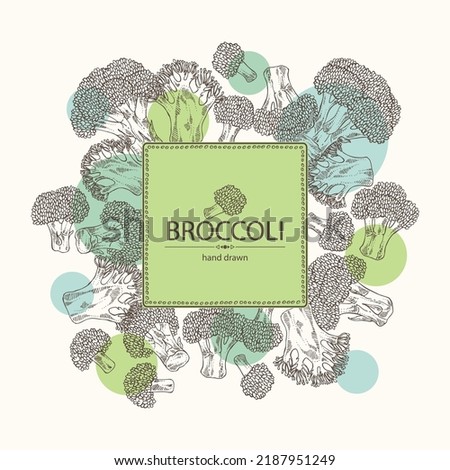 Background with broccoli: full broccoli, piece and broccoli inflorescence. Vector hand drawn illustration. Royalty-Free Stock Photo #2187951249