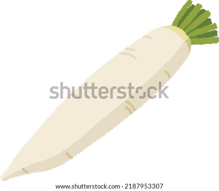 Daikon is a biennial vegetable belonging to the genus Daikon of the Brassicaceae family. The enlarged roots are mainly eaten, and the leaves are also used as food. Royalty-Free Stock Photo #2187953307