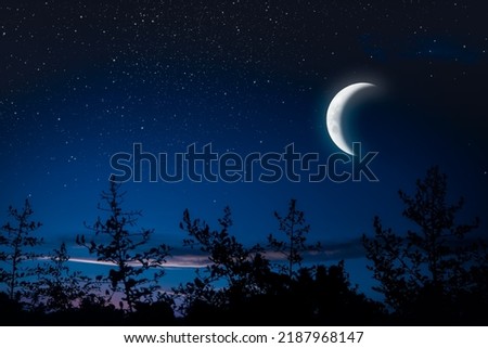 crescent in the sky at twilight. starry sky with crescent and the silhouette of the leaves