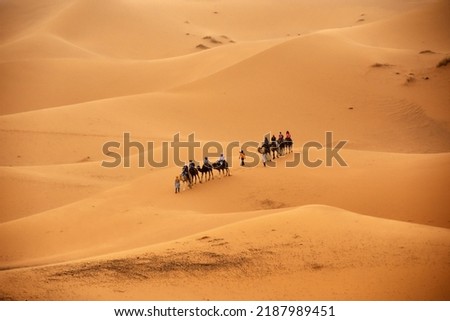 Fantastic dune landscape of the Erg Chebbi near Merzouga in the southeast of Morocco Royalty-Free Stock Photo #2187989451