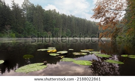 The calm of an autumn morning. Lake Lithuania early morning fog rising. Photographed from a low perspective. Lily leaves, beautiful morning. Royalty-Free Stock Photo #2188022861