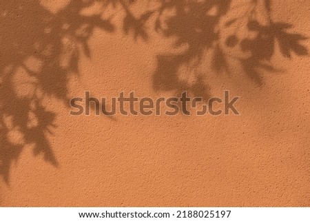 Abstract tree leaves shadows on brown concrete wall texture with roughness and irregularities. Abstract trendy colored nature concept background. Copy space for text overlay, poster mockup flat lay  Royalty-Free Stock Photo #2188025197