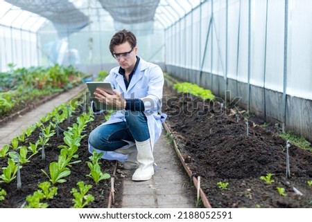 Scientist holding Tablet work at Vegetable Garden. Royalty-Free Stock Photo #2188052591