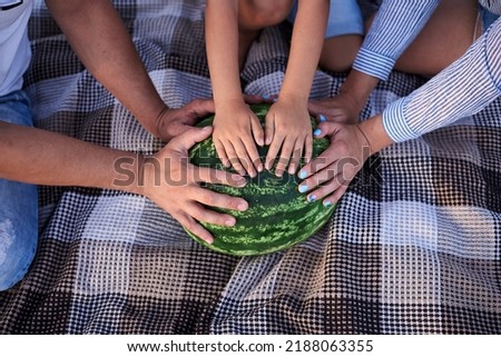 Close-up picture of hands of family members holding watermelon on checkered brown blanket. Young mother, father and small sun having fun on a picnic in summer. Active lifestyle concept.