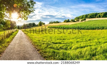 Field path with hilly landscape in back light in summer near St. Wendel in Saarland Royalty-Free Stock Photo #2188068249
