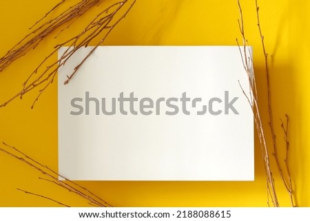 white rough empty paper with dry branches on yellow background