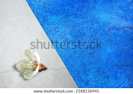 Fresh flower on pool side with blue water waves. Summer minimal