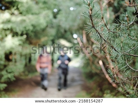 Hike through Bohemian bushes and woods