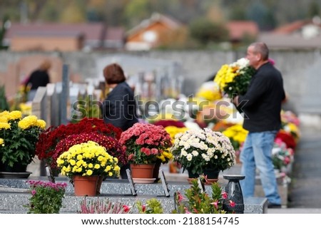 All Saints' Day at a cemetery. Flowers placed to honor deceased relatives.   France.  Royalty-Free Stock Photo #2188154745