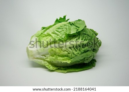 fresh baby cos,lettuce isolated on white background                              