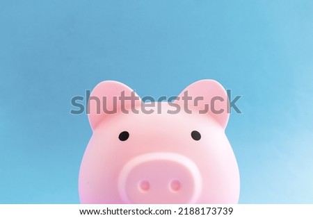 pink piggy bank on blue paper background