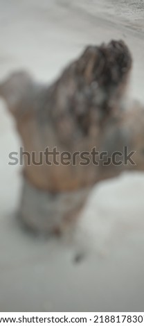 Blurring the focus of the abstract background of pieces of wood buried in the beach sand