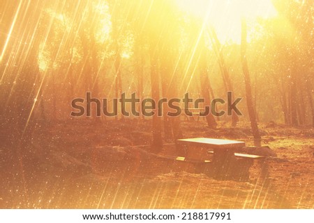 blurred abstract photo of light burst among trees and glitter bokeh. filtered image and textured. 